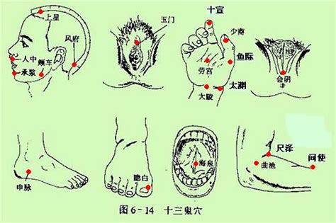 鬼穴|你知道针灸中的“十三鬼穴”吗？图解给你全面解析！